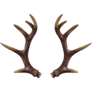 Corna Natural Ricambio Renna GT181 GT182 Decorazione Natale