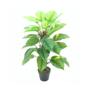 Pianta Ornamentale Pothos a Foglie Verdi con Vaso 73 cm