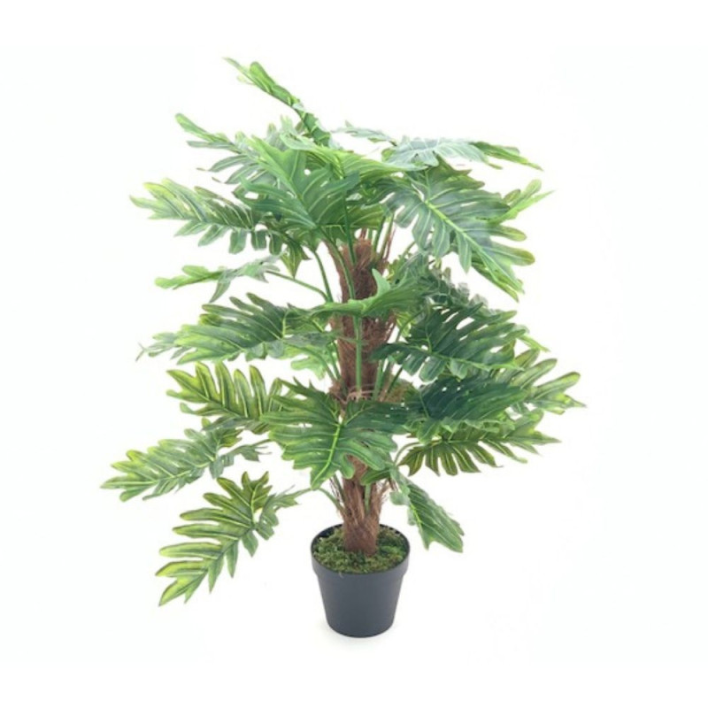 Pianta ornamentale Philo a foglie verdi con vaso 73 cm