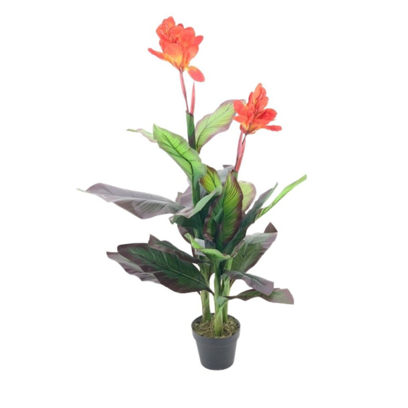 Pianta ornamentale canna Lily fiori arancio vaso 115 cm