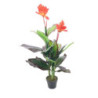 Pianta ornamentale canna Lily fiori arancio vaso 115 cm