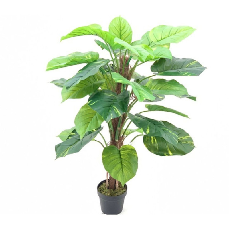 Pianta ornamentale Pothos a foglie verdi con vaso 120 cm