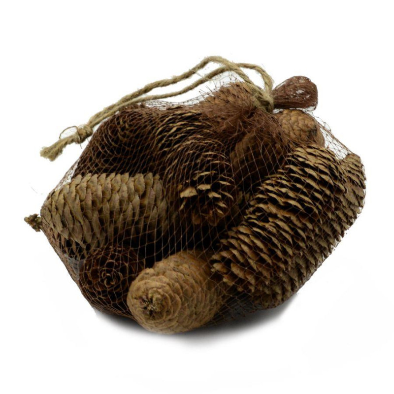 Set 3 Pigne Naturali Sacchetto 24 pezzi 5x7x4 cm Decorazione