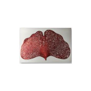 Zoom Set di 12 Tovagliette plastica foglia rosso cm 44x30h0.5