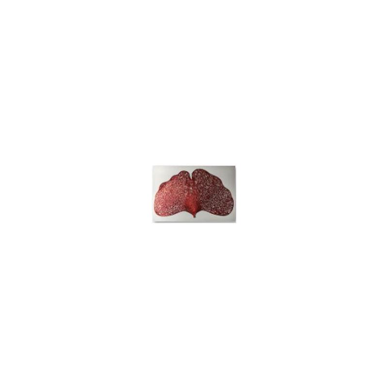 Set 12 tovagliette plastica foglia rosso 44x30 cm tavola elegante