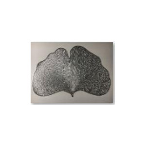 Zoom Set di 12 Tovagliette plastica foglia argento cm 44x30h0.5