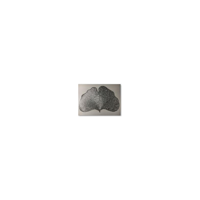 Set di 12 Tovagliette Plastica Foglia Argento 44x30 cm Design