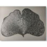 Set di 12 Tovagliette Plastica Foglia Argento 44x30 cm Design