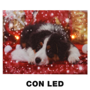 Zoom Set di 2 Quadri led legno cane multicolor rettangolare cm 20x15h2,5