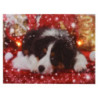 Set di 2 Quadri LED Legno Cane Multicolor 20x15x25 cm Decorazione