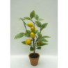 Set 6 Piante limone artificiale in vaso terracotta H43cm decorative