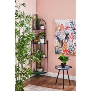 Zoom Set di 2 Sedie Iago In Metallo Con Seduta Tonda 39x39x94 Nero Opaco