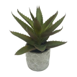 Set di 4 Aloe Con Vaso H 30cm
Vaso Di Cemento