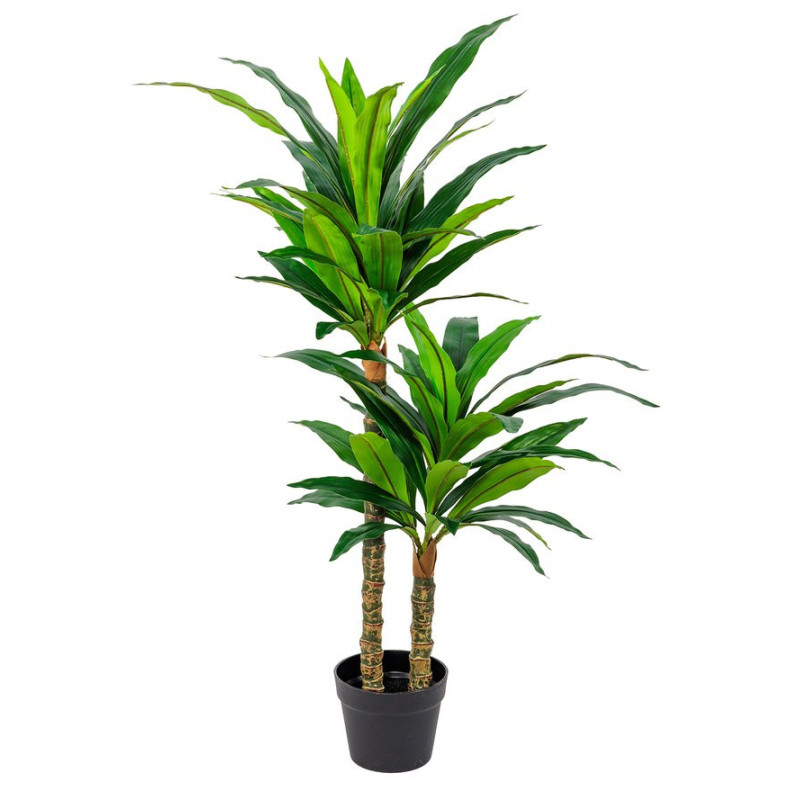 Set di 6 piante dracena sintetica Real Touch H100cm vaso deco