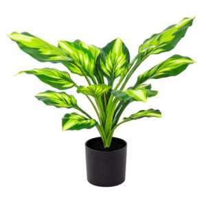 Set di 6 Piante Sintetica Hosta Real Touch H40cm B co/verde In Vaso Plastica 15lvs