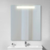 Specchio da bagno Cassiopeia con Illuminazione LED decorativa, diametro 60 cm, AC 230V 50Hz, 20W e 12W, Alluminio e Vetro