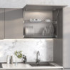 Recycle 1x20lt per il montaggio sul fondo e l'estrazione manuale in cucina, Grigio antracite, Tecnoplastica