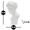 Scultura Roman Young cm 20x17,5x30