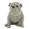 Cane Sparky cm 17x11x14