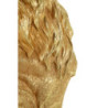 Re Leone Shant cm 30x42x74