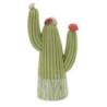 Cactus cm 10,5x6,5x20,5