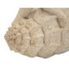 Stella Marina Sand cm 18x13x21,2