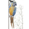Pannello In Ferro Parrot cm 28,6x2,5x74,3