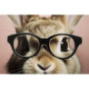 Dipinto Su Tela Laccato Bunny Con Cornice cm 62,5x2,8x62,5
