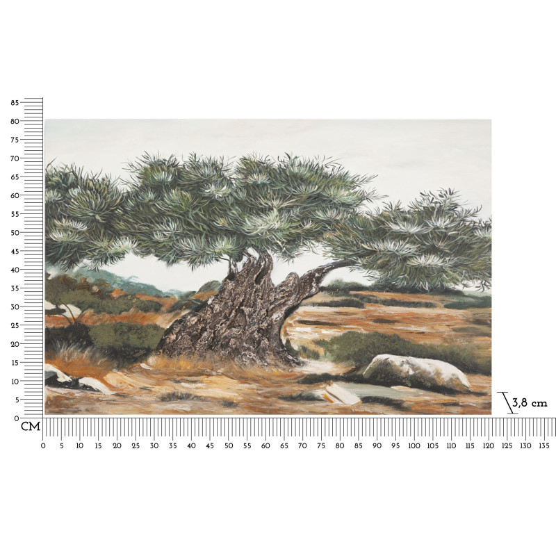 Dipinto Su Tela Olivo -b- cm 120x3,8x80