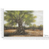 Dipinto Su Tela Olivo -c- cm 120x3,8x80