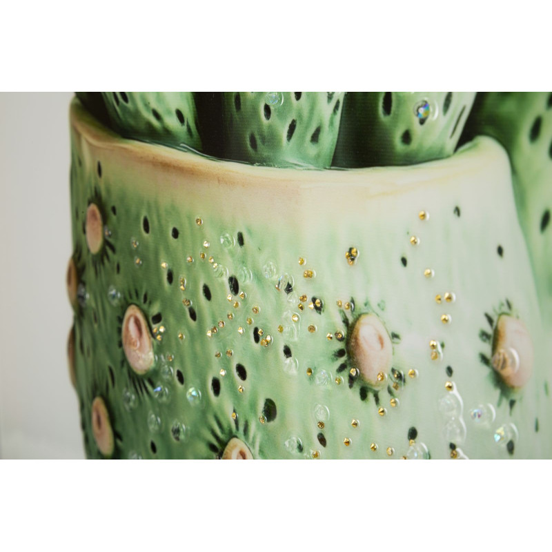 Stampa Su Tela Laccata Con Cornice Vasetto Cactus -a- cm 40x2,8x40