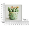 Stampa Su Tela Laccata Con Cornice Vasetto Cactus -a- cm 40x2,8x40