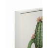 Stampa Su Tela Laccata Con Cornice Vasetto Cactus -b- cm 40x2,8x40