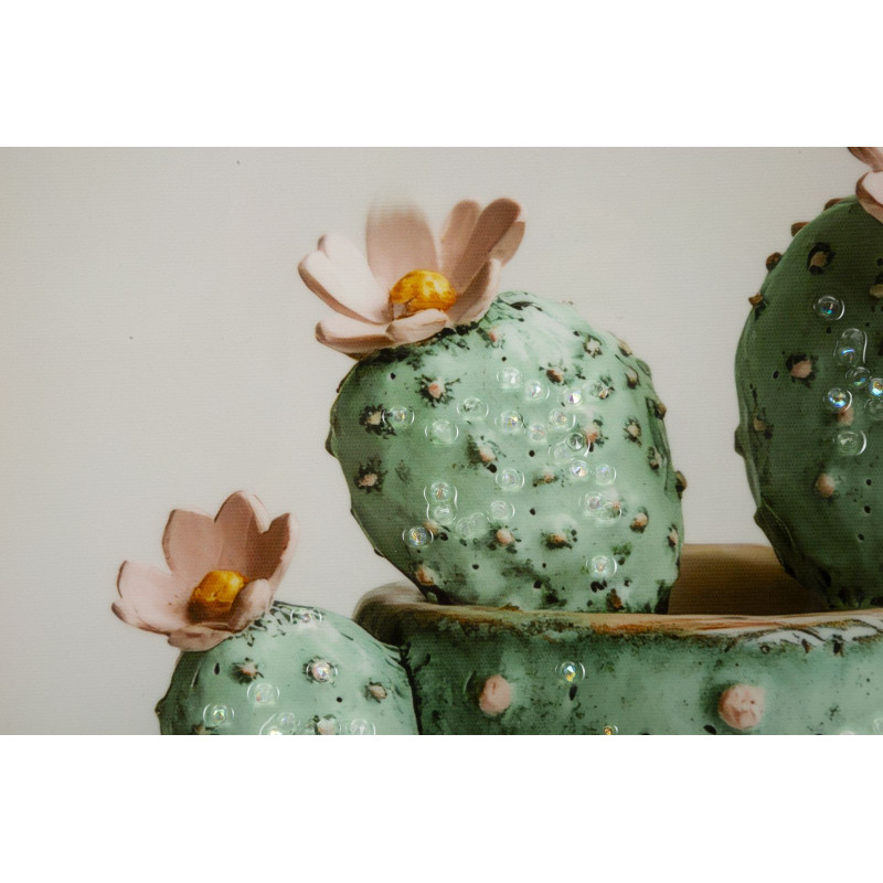 Stampa Su Tela Laccata Con Cornice Vasetto Cactus -c- cm 40x2,8x40