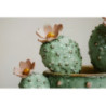Stampa Su Tela Laccata Con Cornice Vasetto Cactus -c- cm 40x2,8x40