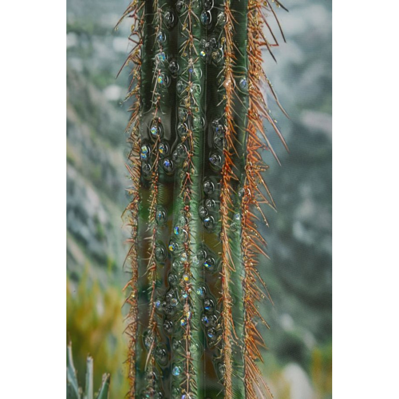 Stampa Su Tela Laccata Con Cornice Cactus -a- cm 60x4x90