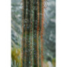 Stampa Su Tela Laccata Con Cornice Cactus -a- cm 60x4x90