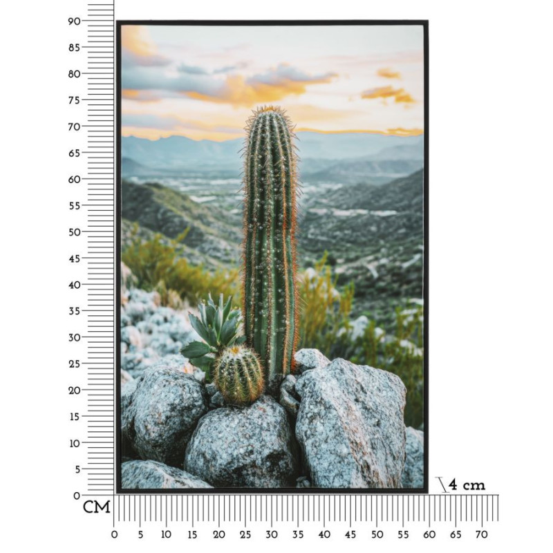 Stampa Su Tela Laccata Con Cornice Cactus -a- cm 60x4x90