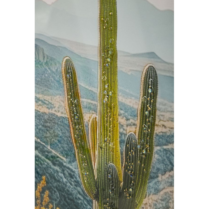 Stampa Su Tela Laccata Con Cornice Cactus -b- cm 60x4x90