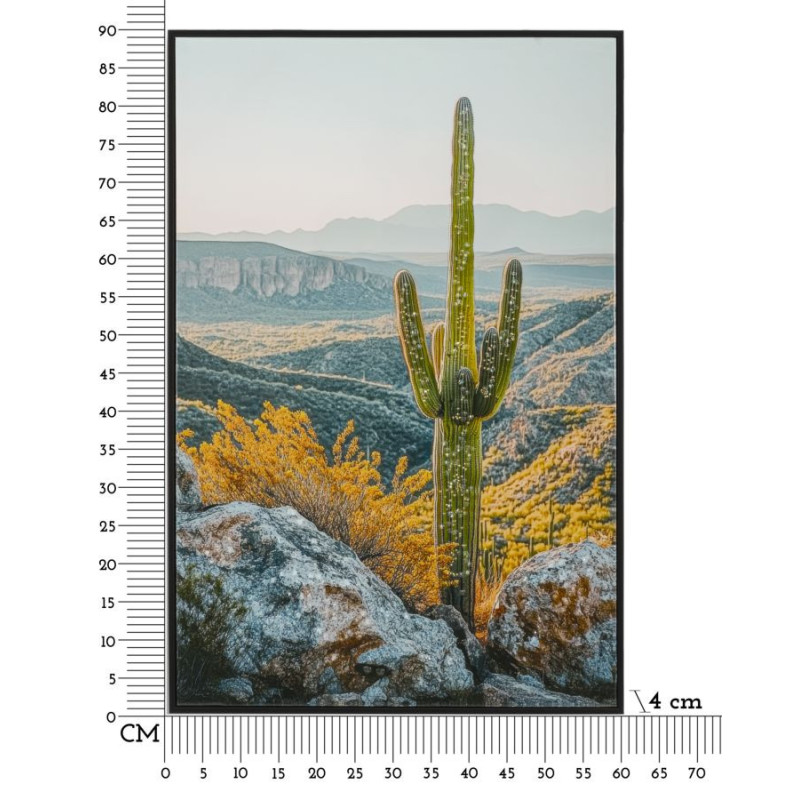 Stampa Su Tela Laccata Con Cornice Cactus -b- cm 60x4x90