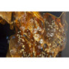 Stampa Su Tela Laccata Con Cornice Andromeda -b- cm 60x4x90