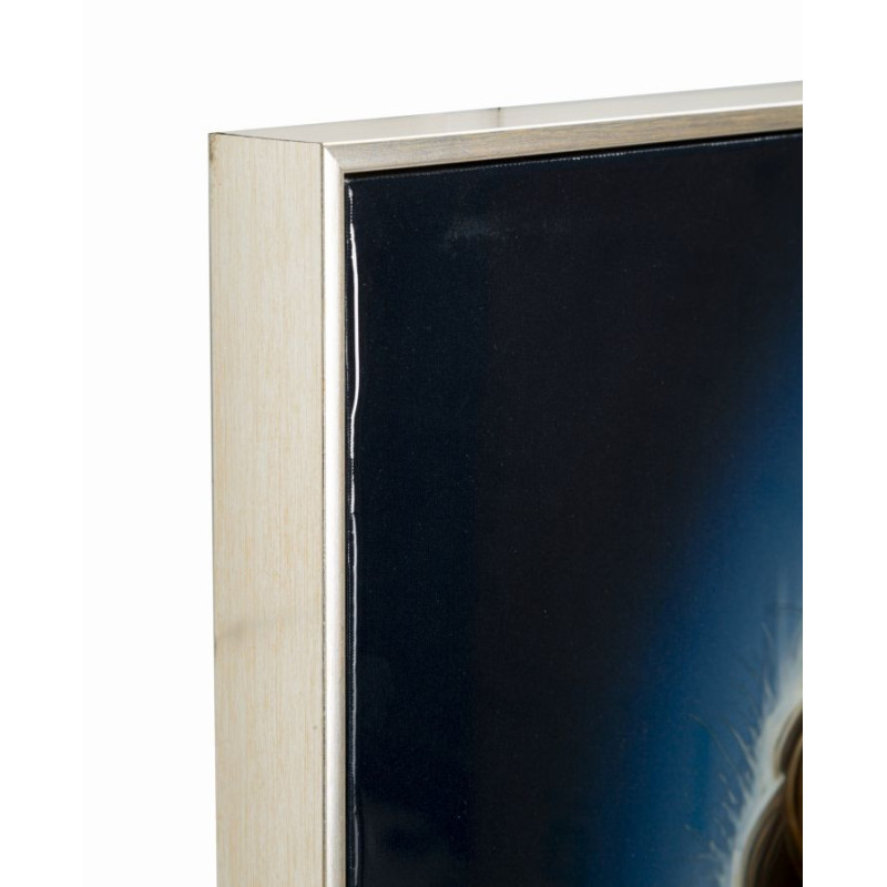 Dipinto Su Tela Laccato Isabel Con Cornice -a- cm 72x4x102
