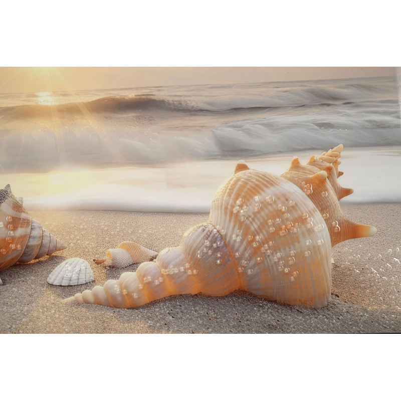 Stampa Dipinta Su Tela Laccata Beach Con Cornice -b- cm 152x4x52