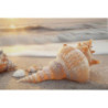 Stampa Dipinta Su Tela Laccata Beach Con Cornice -b- cm 152x4x52