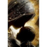 Stampa Decorata Su Tela Laccata Con Cornice Maternity -b- cm 60x3,5x90