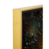 Stampa Decorata Su Tela Laccata Con Cornice Peacock cm 70x4x100