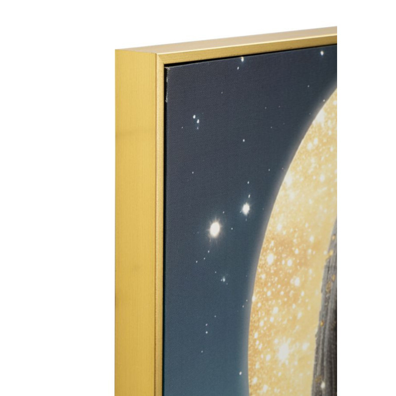 Stampa Con Led Su Tela Laccata Con Cornice Venus cm 70x4x100
