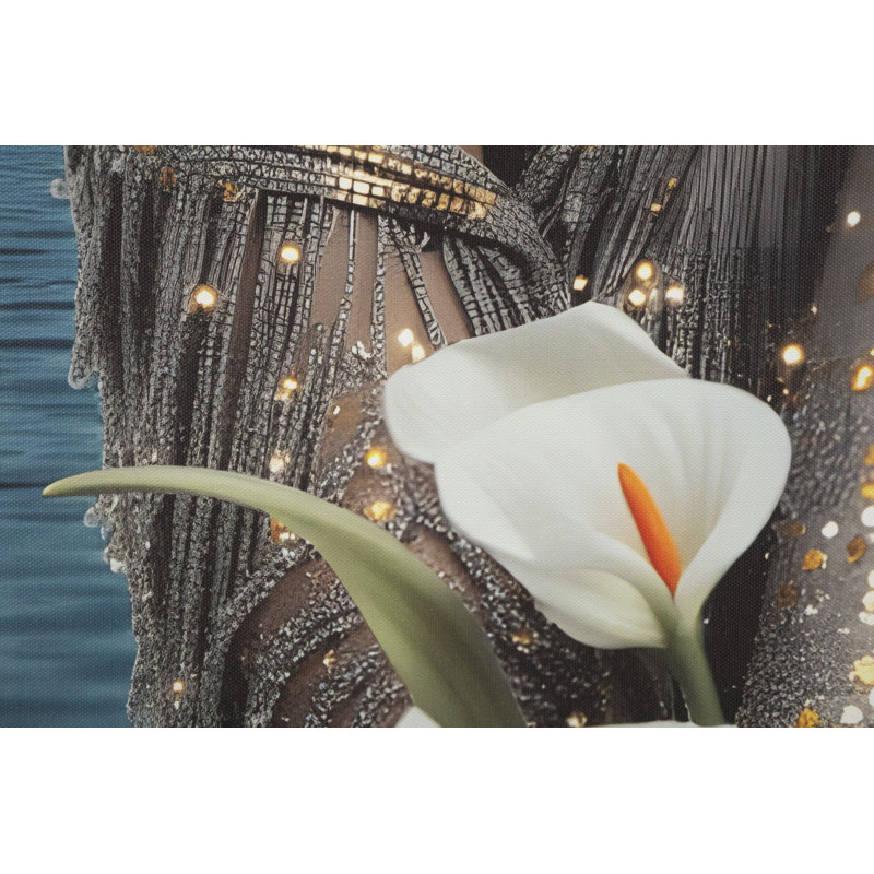 Stampa Con Led Su Tela Laccata Con Cornice Venus cm 70x4x100