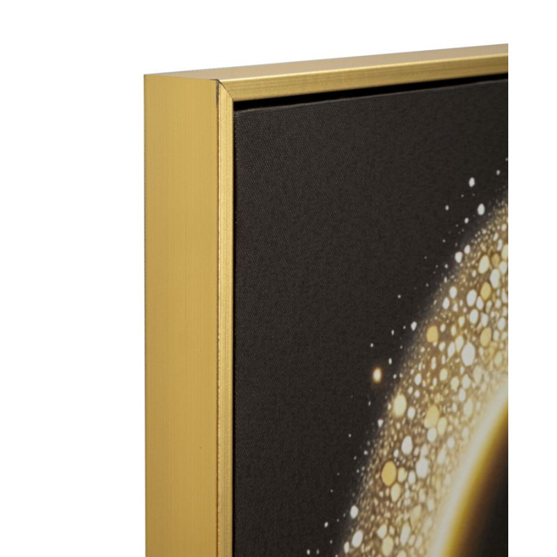 Stampa Con Led Su Tela Laccata Con Cornice Inda cm 60x3,5x90