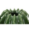 Vaso Cactus Ball cm ø 23,5x24,5